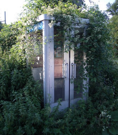 Dilapidated-telephone-booth.jpg (450×517)