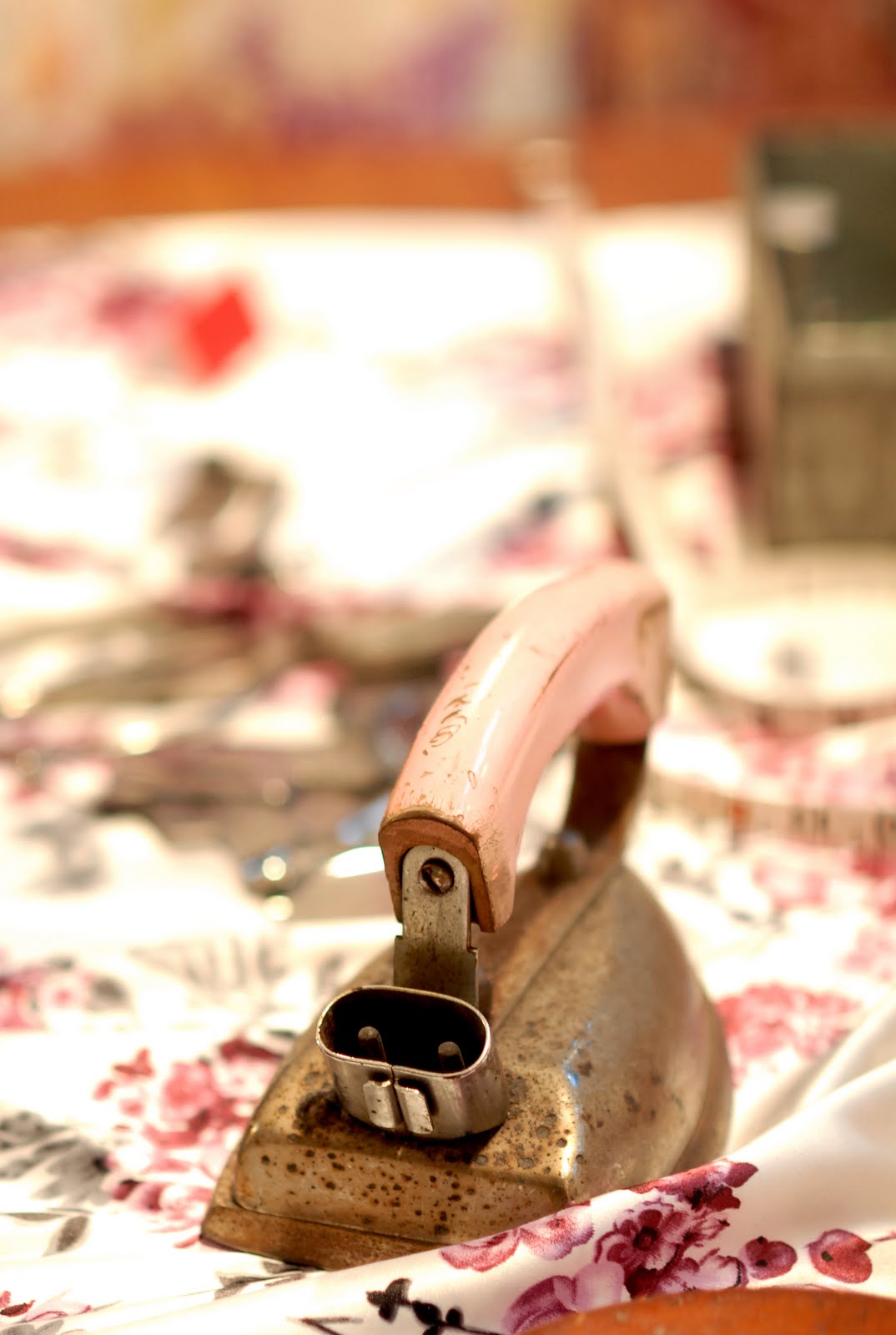 [DSC_5059.jpg]