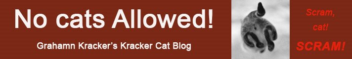 No Cats Allowed - The Kracker Cat Blog