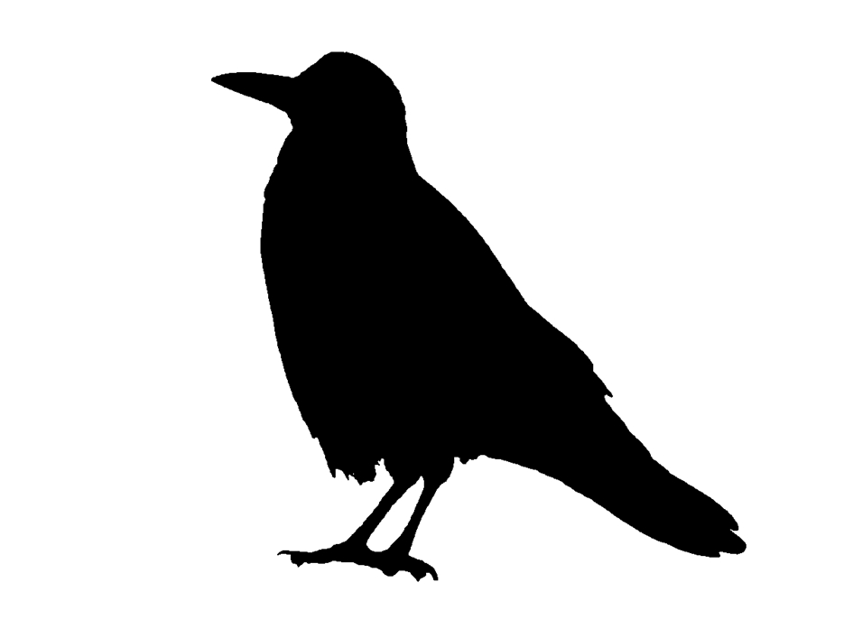 saraccino-crow-stencil