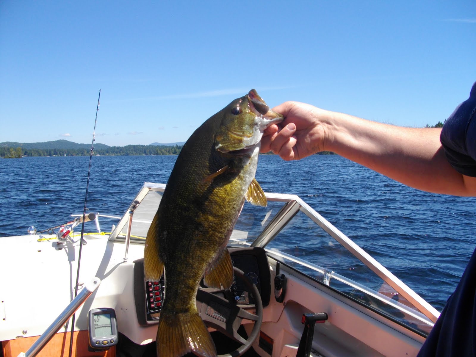 West Coast Anglers Bass Fishing
