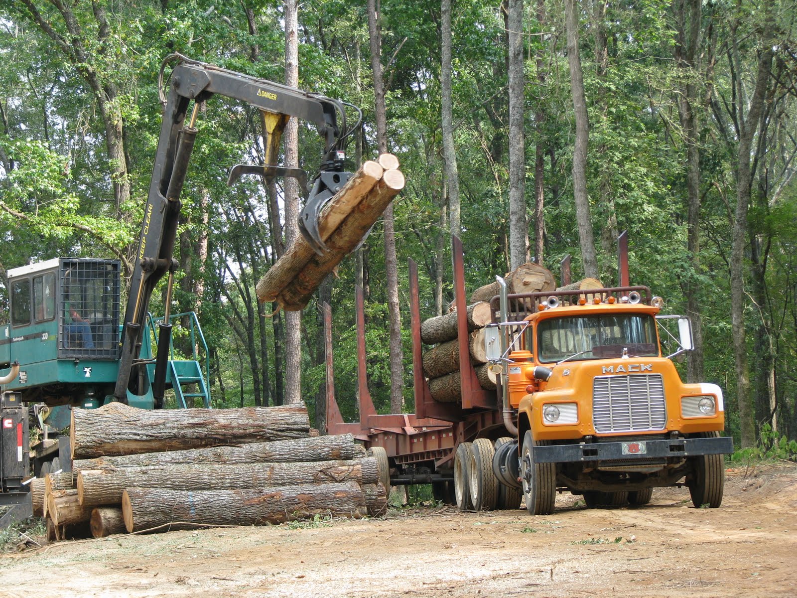 Hog Foot Holler Logging Lake Guntersville State Park