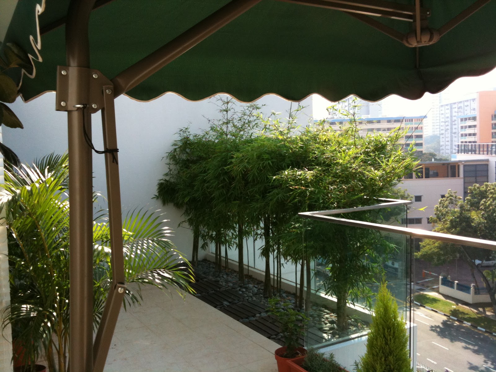Expat Balcony Gardener in Singapore