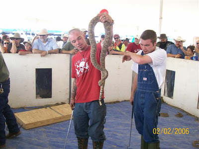 Kathie's Kabin: Rattlesnake Roundup in Freer, Texas