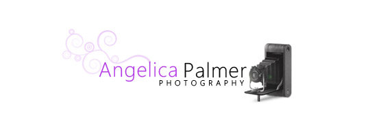 Angelica Palmer Photography