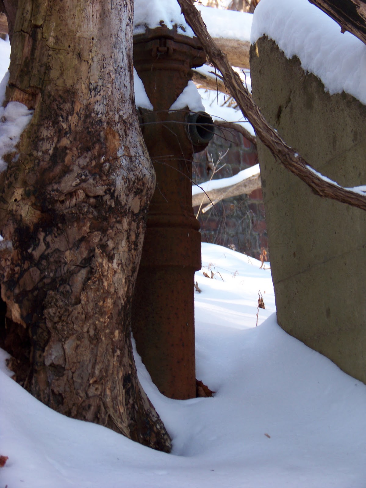 SWPA Rural Exploration A winter walk down the Rices Landing, PA rails