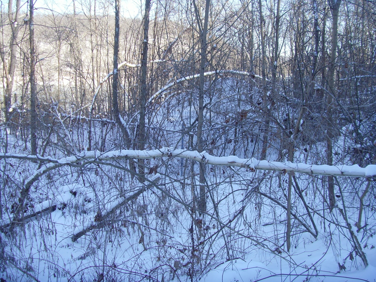 SWPA Rural Exploration A winter walk down the Rices Landing, PA rails