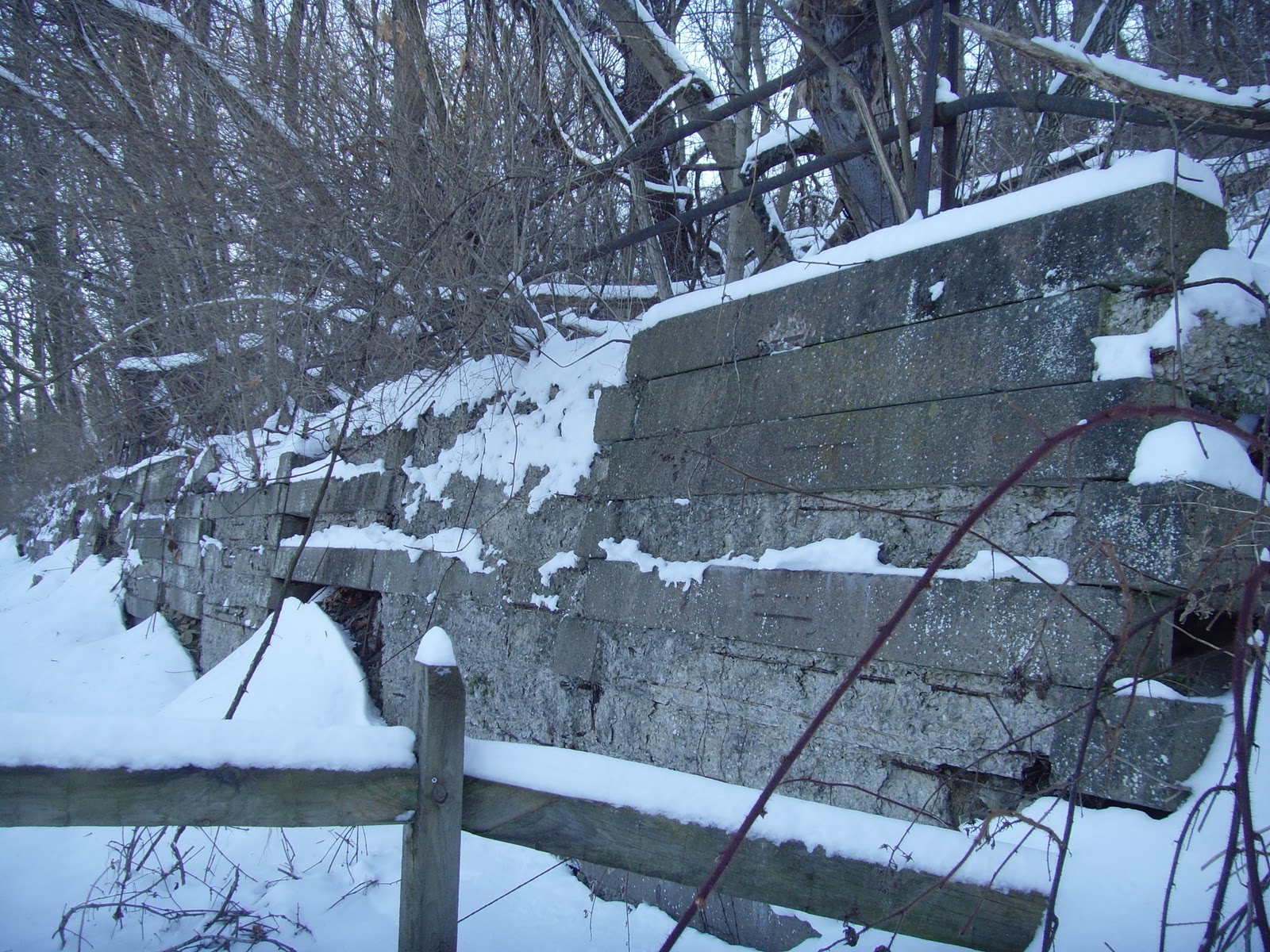 SWPA Rural Exploration A winter walk down the Rices Landing, PA rails