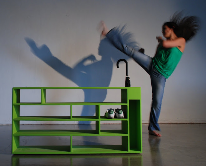 Furniture in Motion