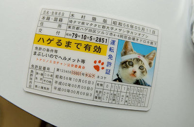 ::El Jardin de gatitos::