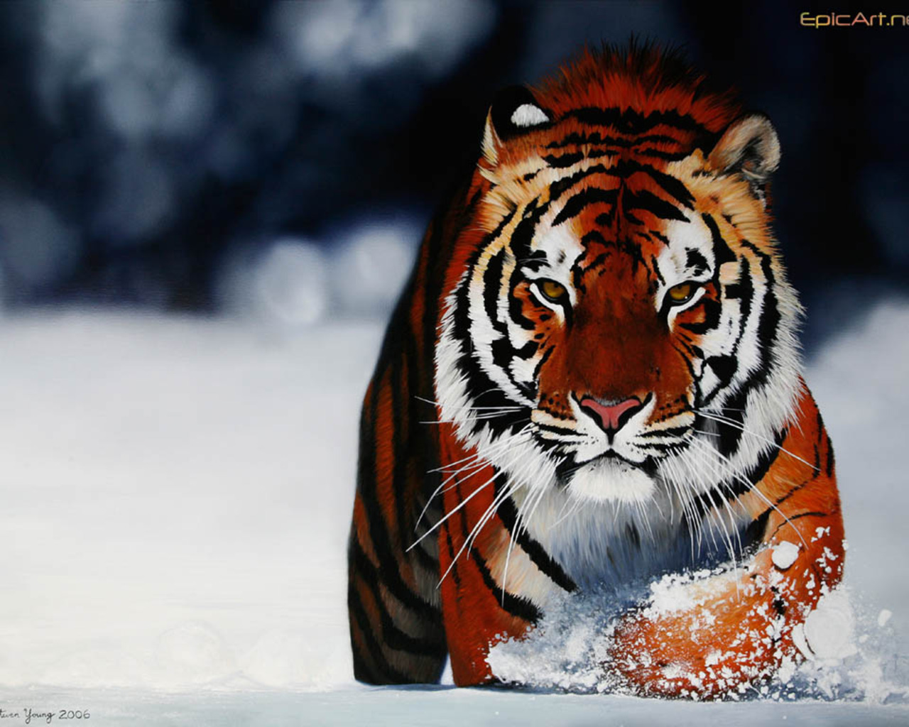 The greatest Wallpapers Unique Gallery 13