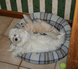 My puppy kids