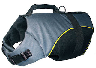 American bulldog accessories Clearance