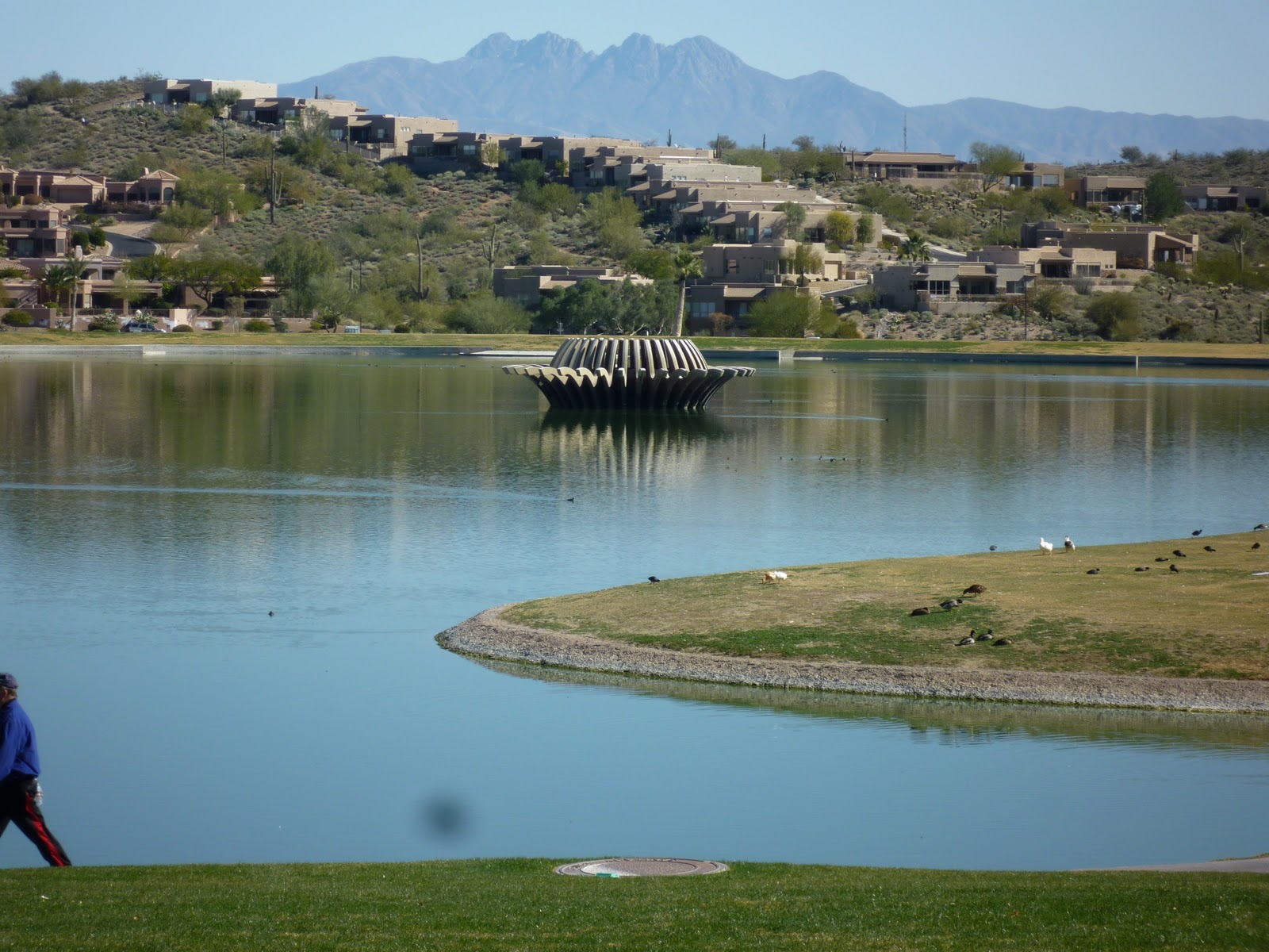 Lori Blaine Scottsdale, Arizona The Desert Adventure Fountain Hills