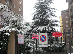 Milano sepolta dalla neve e .. dall'incapacità, ma dove sono gli operatori della Zona 7? Bene il ..