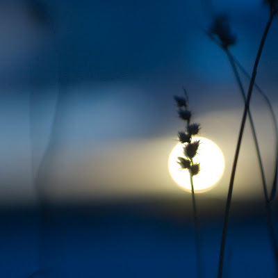 Landscape Photography, sunset, the sun