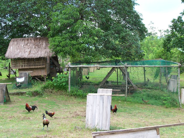 Springwater Farm Photos