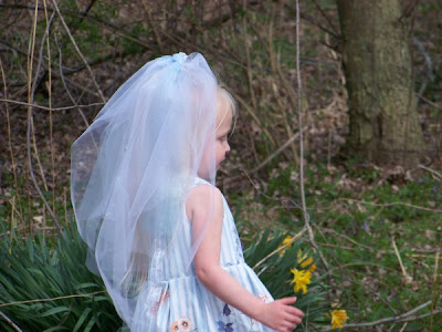 Dress Up Veil Weddings Dresses
