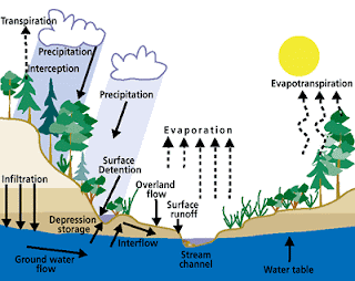 Maria's Art 7th Grade: The Water Cycle