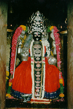 [mariamman.gif]