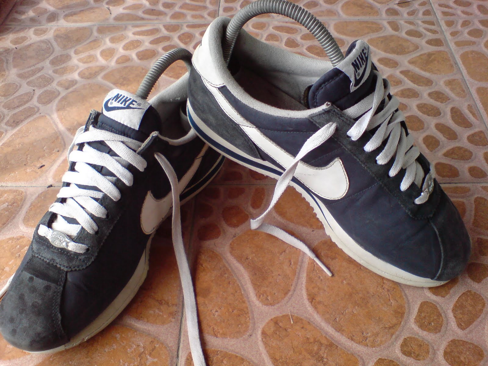 cortez 72 falcon