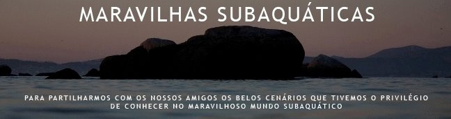 MARAVILHAS SUBAQUÁTICAS