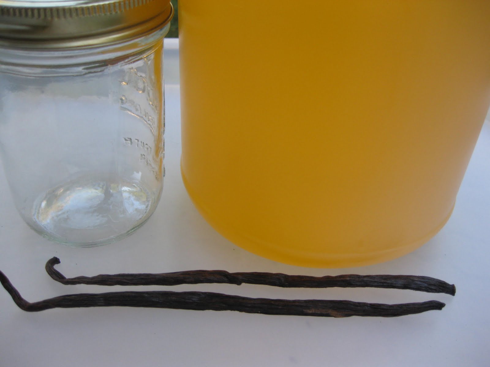 Make Infused Vanilla Bean Oil Joan Morais Cosmetics School