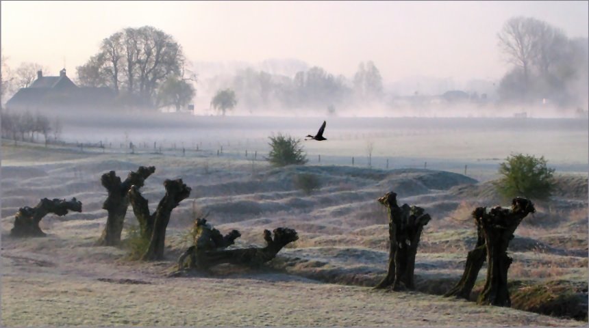 [Uiterwaarden+untitled.bmp]