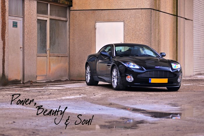 [amvanquishs-header.jpg]