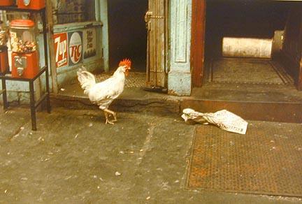 [levitt_crosstown1.jpg]