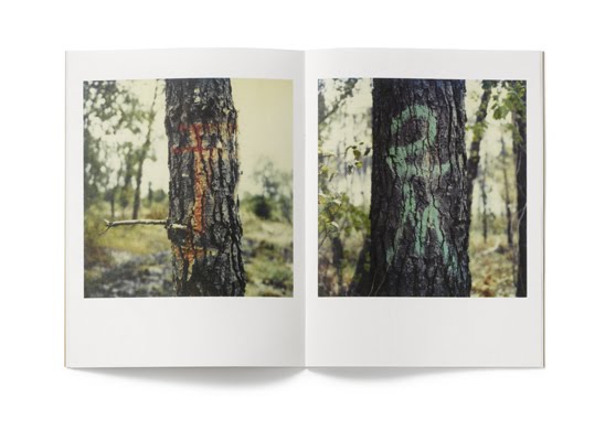 [Kessels+p_treepaintings_2_new.jpg]