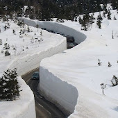 That's Not Snow...