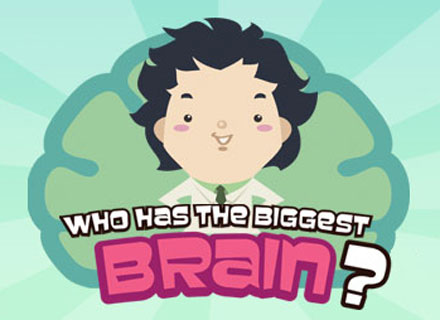 http://2.bp.blogspot.com/_jWPPjxGqa94/S8OA71_5UjI/AAAAAAAAAAs/HJly7bQ06dc/s1600/who-has-the-biggest-brain-01.jpg
