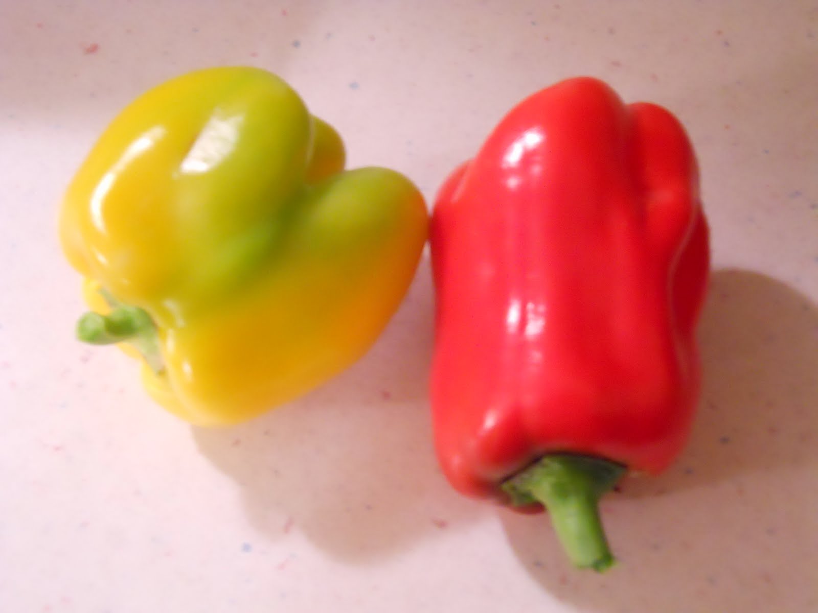 Beech Street Gardens: December 2010