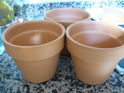 P1000691.JPG