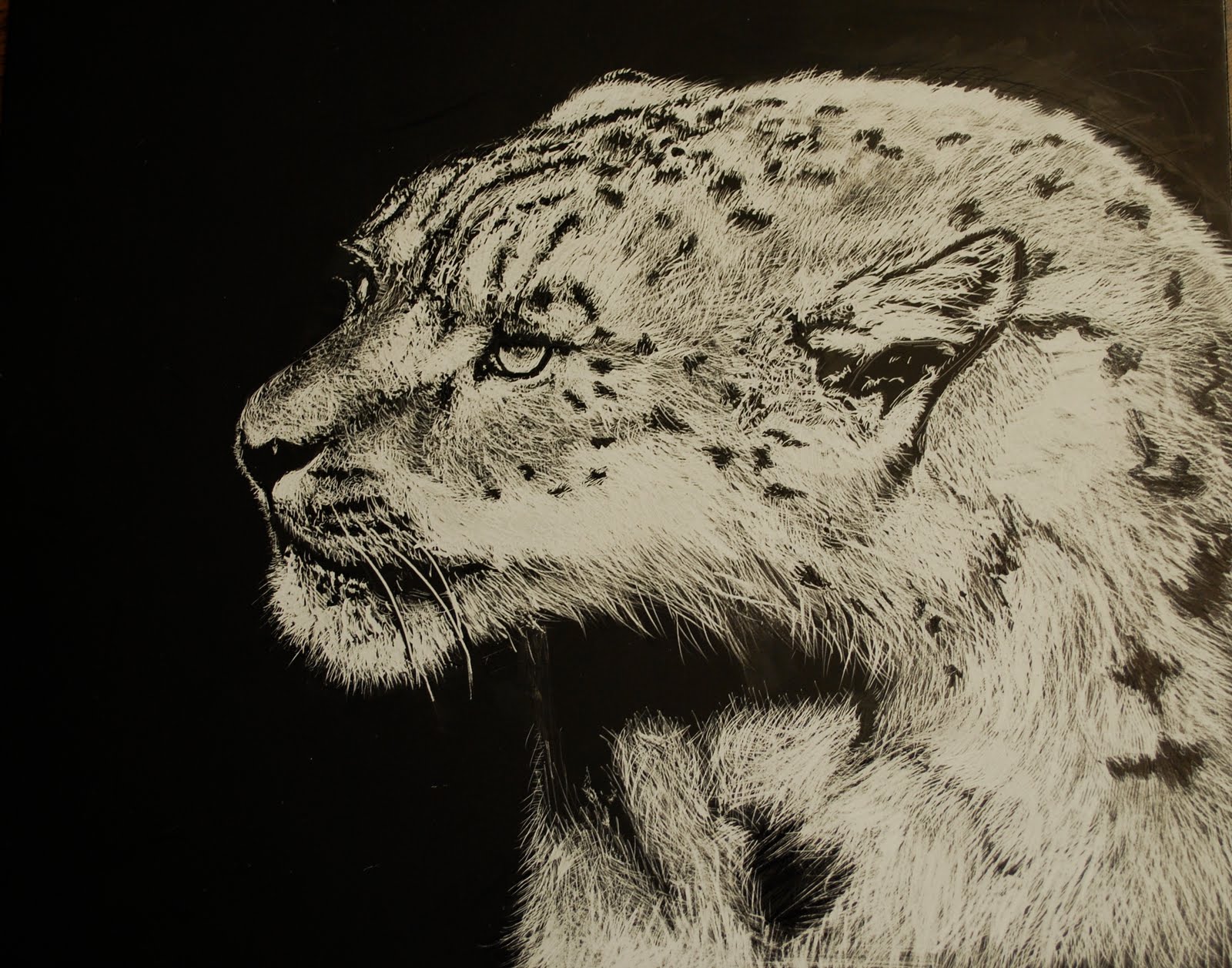 Project ARTADAY Lesson 3 Scratchboard