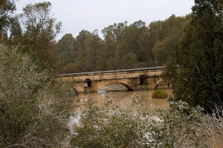 Puente de Catuja