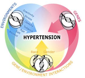 stupanj 3 hipertenzija ovr hrana za snizavanje pritiska