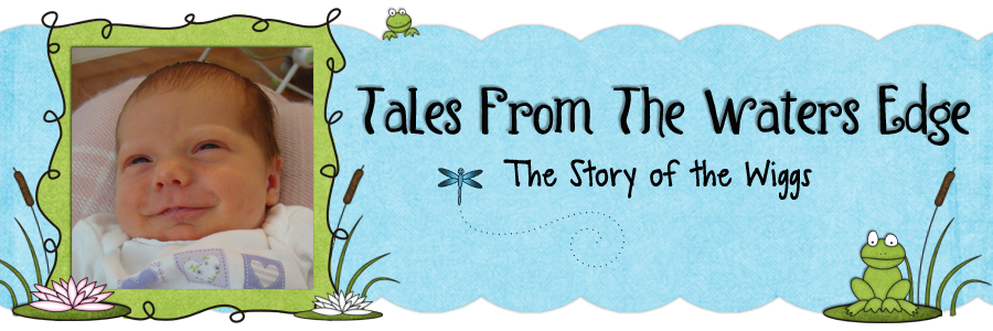 Tales from Waters Edge