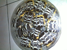 SHORTBREAD COKLAT
