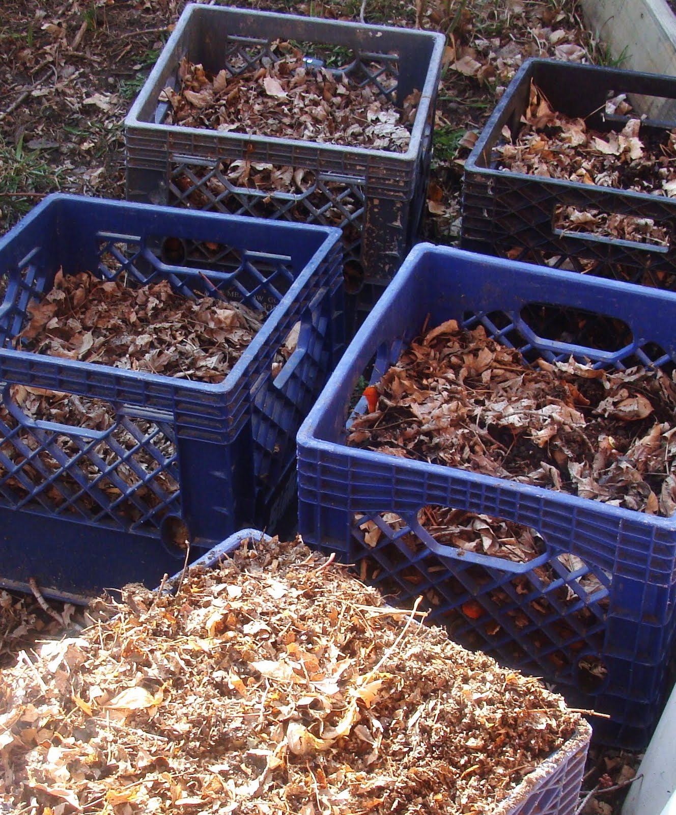 Milk Crate Composting Milk crates, Compost, Buy compost
