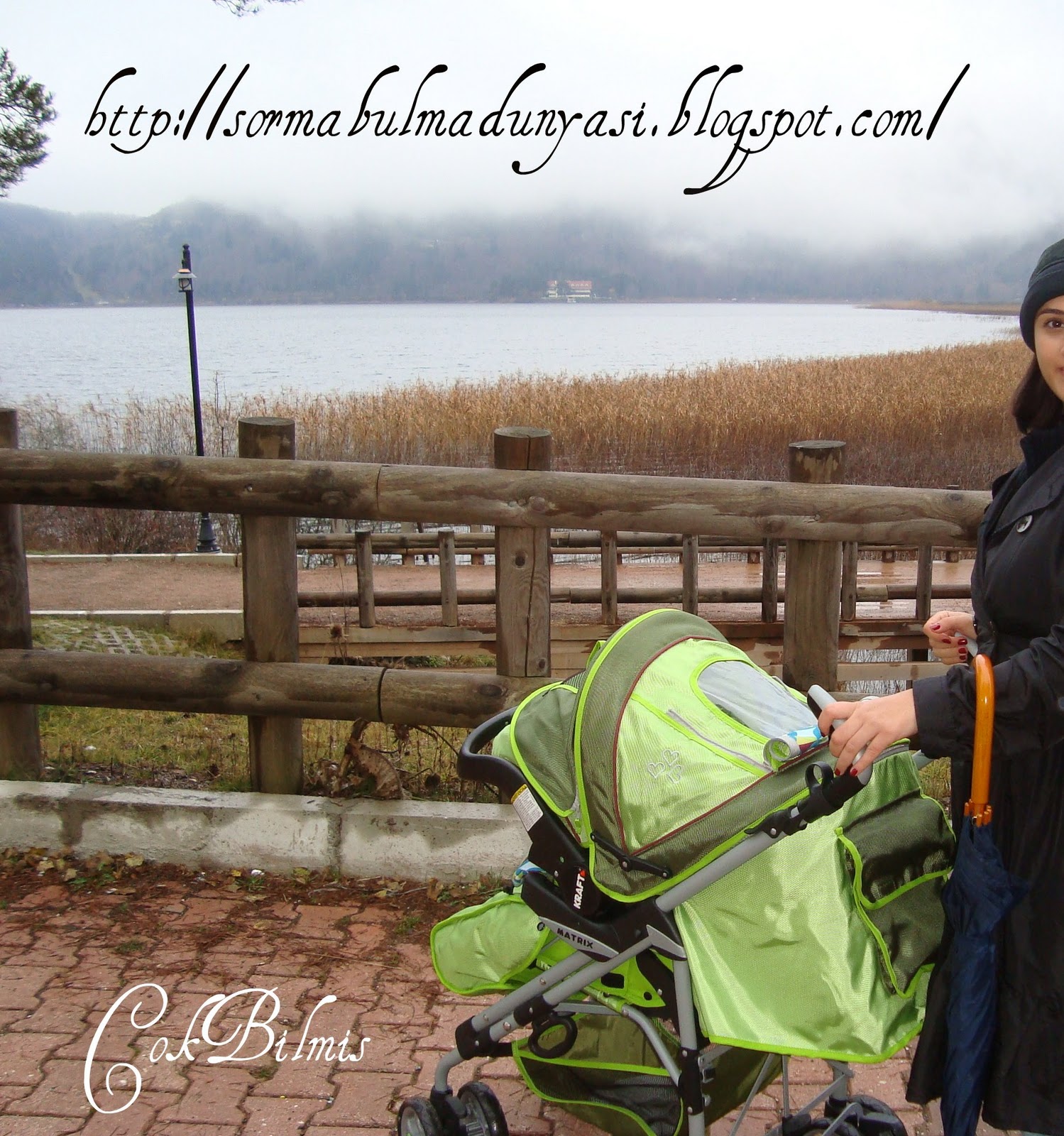 Fili tuttuğum yerden bir de ben tarif edeyim&hellip; 2,5 aylık