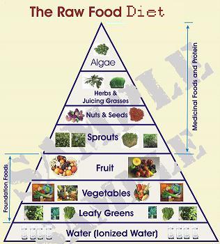 Download this Raw Food Diet picture