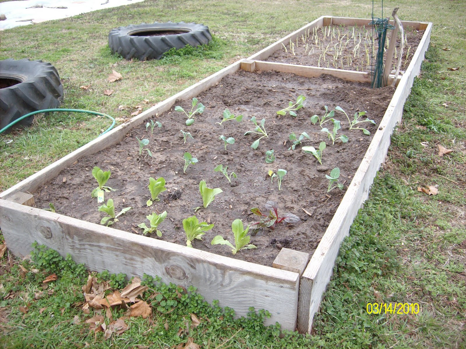 Seven Sisters Garden