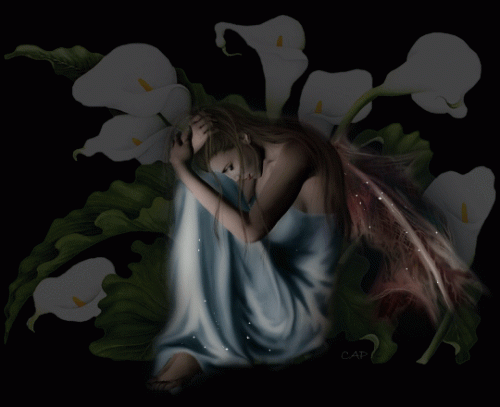 [20080227161806699.gif]