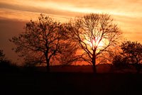 [0D0T0973Mk2-200.jpg]