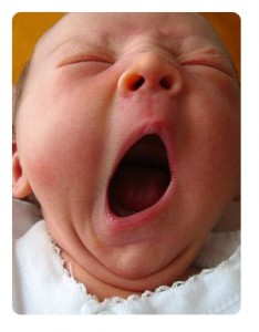 [sono-bebe1-234x300.jpg]