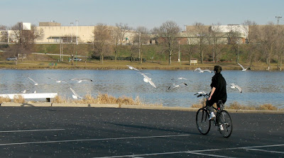 Image of woman bicycling along Rock River near Beloit, Wisconsin