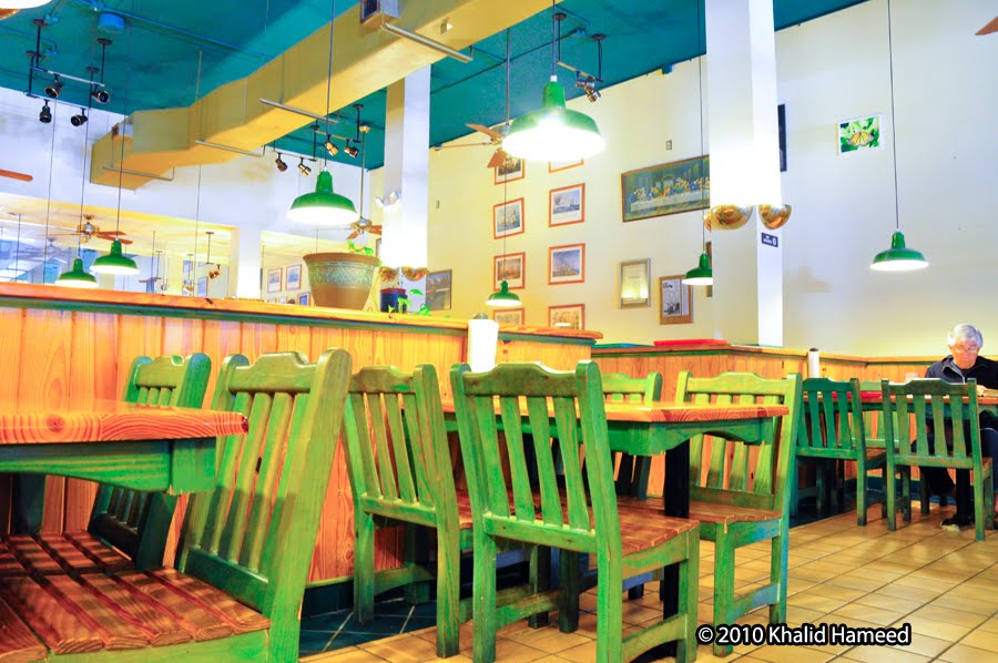 Scallywag Journeys Tampa Bay and Beyond Dome Grill downtown St