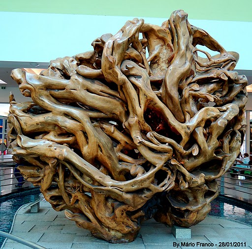 Meu Cantinho Verde Figueirasagrada  ( Fícus religiosa )